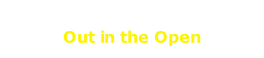 Out in the Open