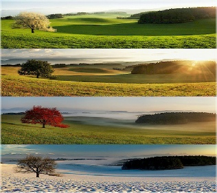 Seasons.wma